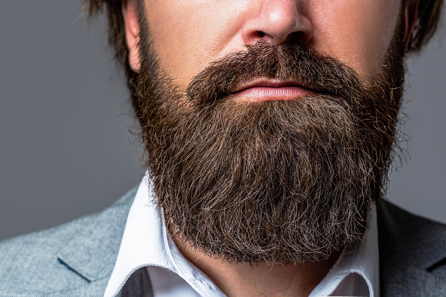 Which Beard Is Right For You?, The Journal