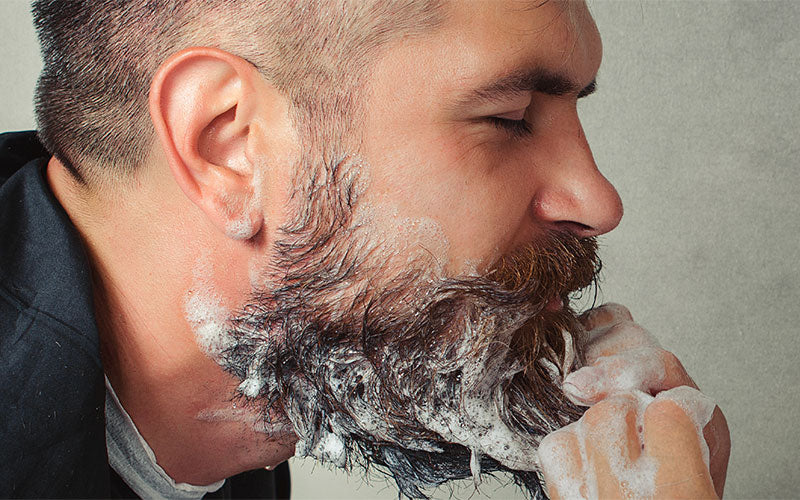 Beard Frizz? Take control of your Beard