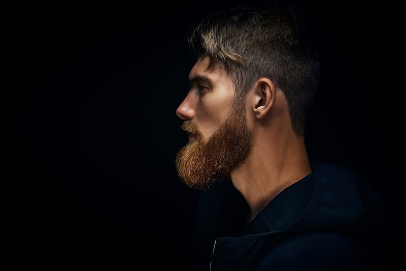Top 15 Beard Styles For Men – The Beard Club
